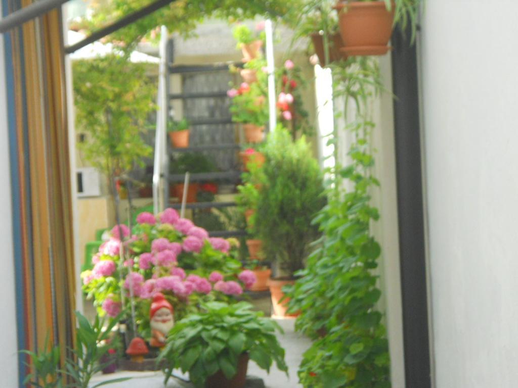 Dom Eli Apartment Pomorie Bagian luar foto